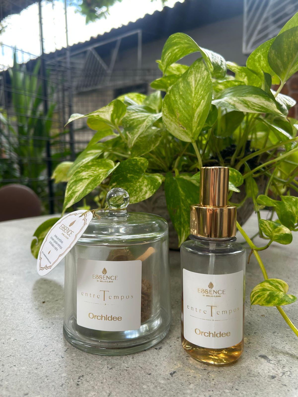 Vela Entre Tempos · Orchidée
